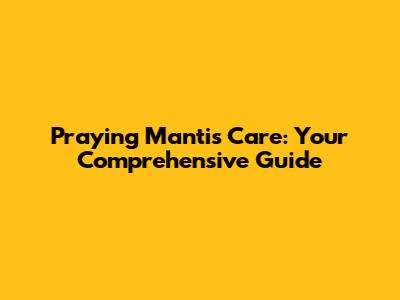 Praying Mantis Care: Your Comprehensive Guide