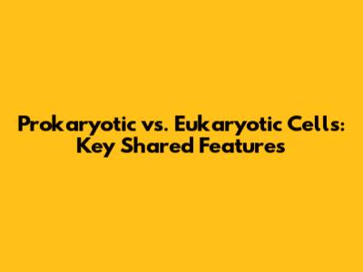 Prokaryotic vs. Eukaryotic Cells: Key Shared Features
