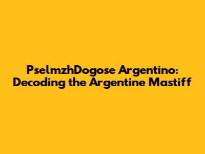 PselmzhDogose Argentino: Decoding the Argentine Mastiff