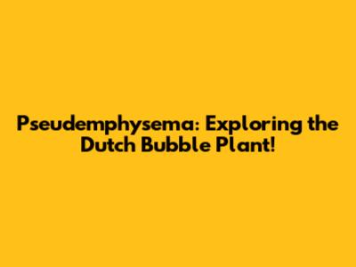 Pseudemphysema: Exploring the Dutch Bubble Plant!
