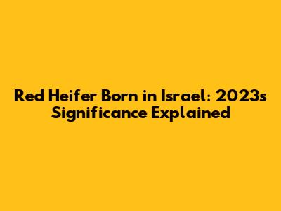Red Heifer Born in Israel: 2023's Significance Explained