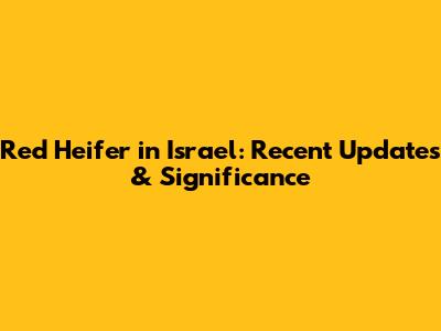 Red Heifer in Israel: Recent Updates & Significance