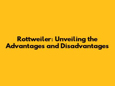 Rottweiler: Unveiling the Advantages and Disadvantages