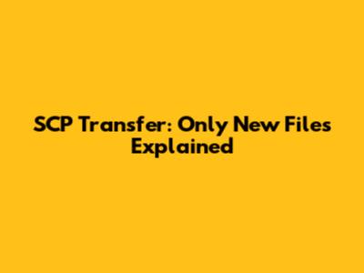 SCP Transfer: Only New Files Explained