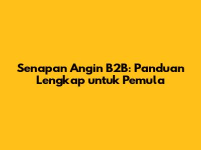 Senapan Angin B2B: Panduan Lengkap untuk Pemula