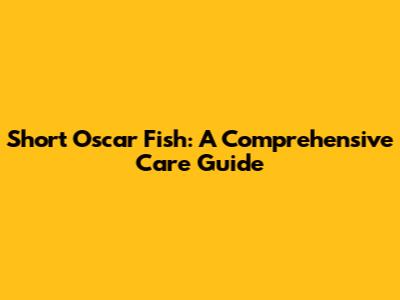 Short Oscar Fish: A Comprehensive Care Guide