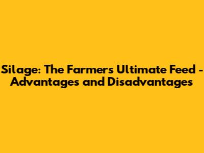Silage: The Farmer's Ultimate Feed - Advantages and Disadvantages