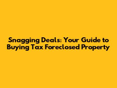 Snagging Deals: Your Guide to Buying Tax Foreclosed Property