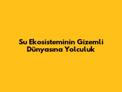 Su Ekosisteminin Gizemli Dünyasına Yolculuk