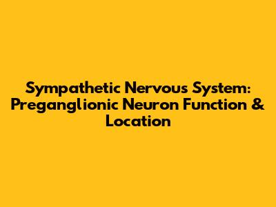 Sympathetic Nervous System: Preganglionic Neuron Function & Location