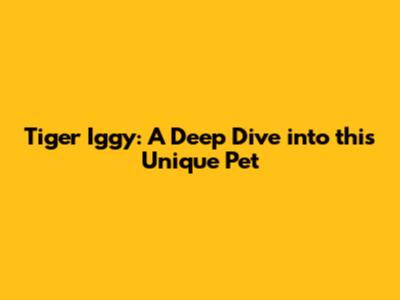 Tiger Iggy: A Deep Dive into this Unique Pet