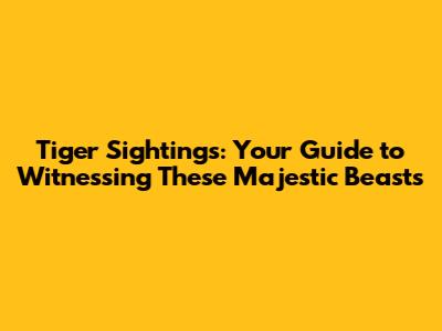 Tiger Sightings: Your Guide to Witnessing These Majestic Beasts