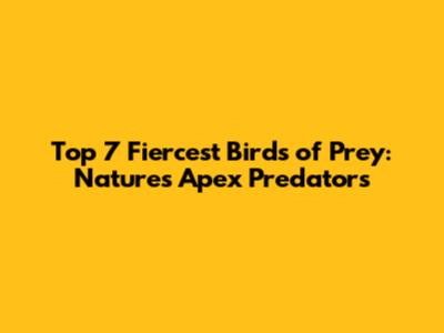 Top 7 Fiercest Birds of Prey: Nature's Apex Predators