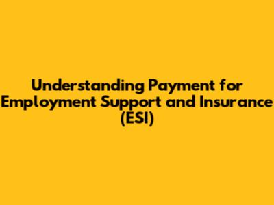 Understanding Payment for Employment Support and Insurance (ESI)