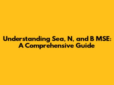 Understanding Sea, N, and B MSE: A Comprehensive Guide