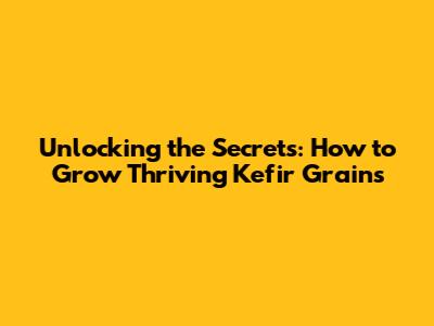 Unlocking the Secrets: How to Grow Thriving Kefir Grains