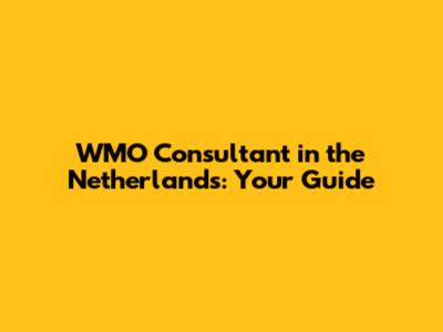 WMO Consultant in the Netherlands: Your Guide