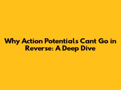 Why Action Potentials Can't Go in Reverse: A Deep Dive