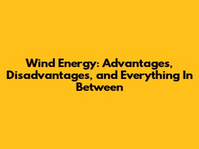 Wind Energy: Advantages, Disadvantages, and Everything In Between
